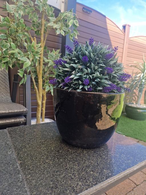 Buy & Sell Crystal Peaks Sheffield - Photos for plant artificial with black ceramic pot