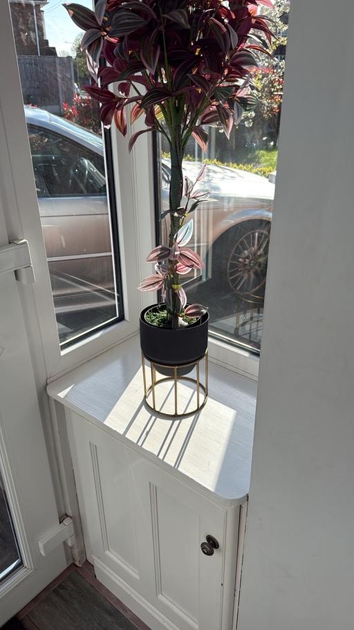 Buy & Sell Sedgley Dudley - Photos for Artificial Plant
