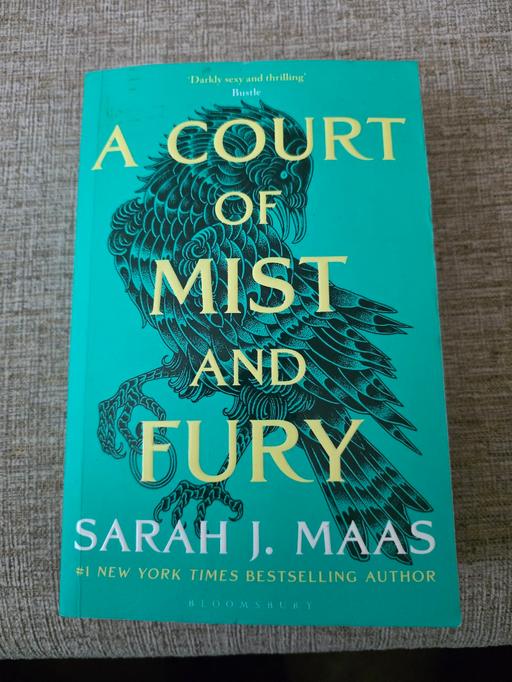 Buy & Sell Holly Hall Dudley - Photos for A COURT OF MIST AND FURY PAPERBACK BOOK