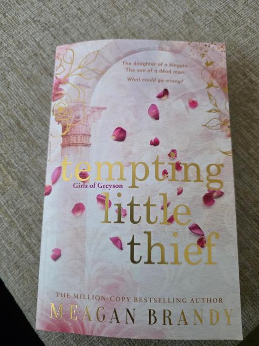 Buy & Sell Pensnett Dudley - Photos for TEMPTING LITTLE THIEF PAPERBACK BOOK