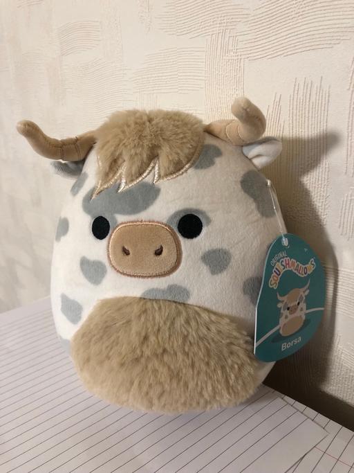 Buy & Sell Bamber Bridge South Ribble - Photos for Borsa - Original Squishmallows - New/w Tag