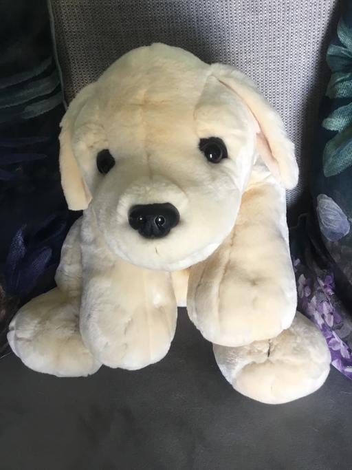 Buy & Sell Bentley Walsall - Photos for Lovely plush dog teddy
