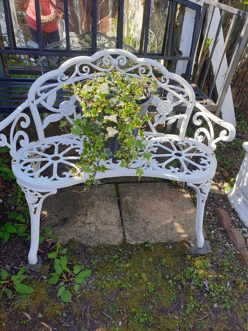 Buy & Sell Kings Norton Birmingham - Photos for Large grey pot of ivy