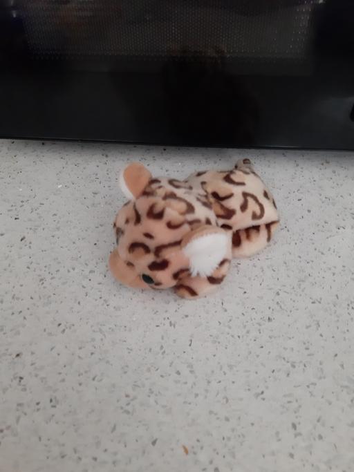 Buy & Sell South Hylton Sunderland - Photos for beanie