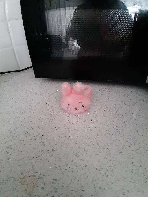 Buy & Sell South Hylton Sunderland - Photos for snap band bunny