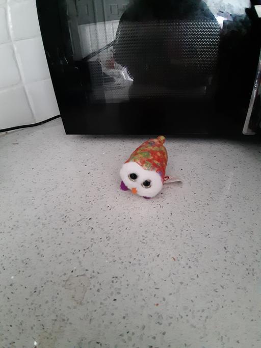 Buy & Sell South Hylton Sunderland - Photos for toy