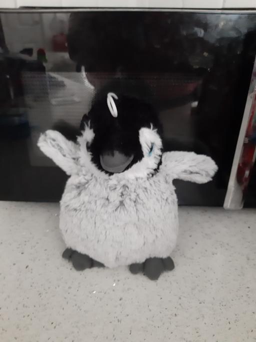 Buy & Sell South Hylton Sunderland - Photos for toy