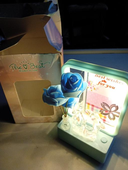 Buy & Sell Horncastle East Lindsey - Photos for brand new ornamental light