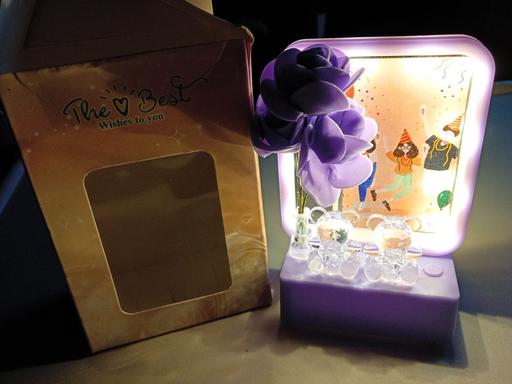 Buy & Sell Horncastle East Lindsey - Photos for brand new Ornamental light