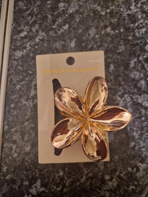 Buy & Sell Aylestone Leicester - Photos for brand new hair clip