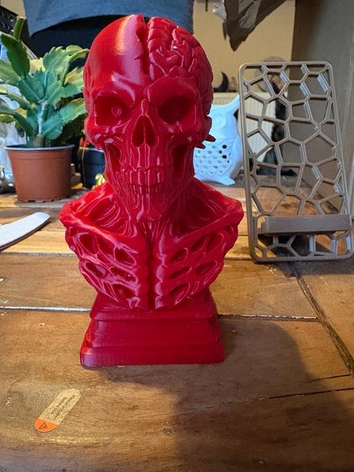 Buy & Sell Bolham Bassetlaw - Photos for 3D printed skull bust