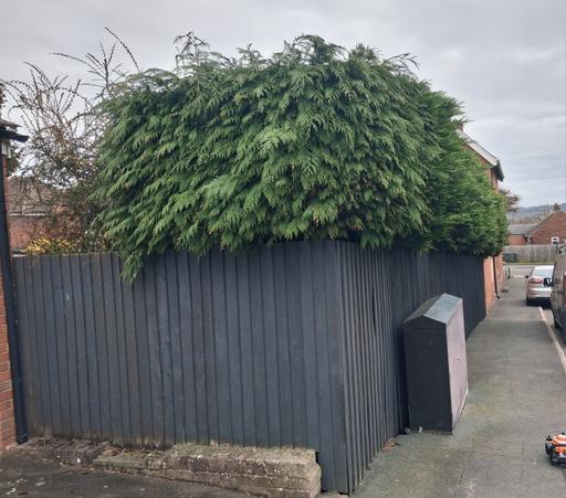 Buy & Sell Pensnett Trading Estate Dudley - Photos for landscapes and gardening