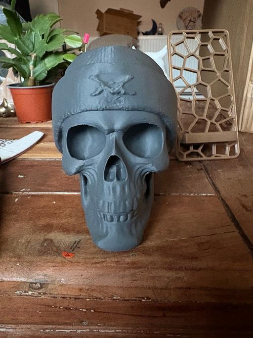 Buy & Sell Bolham Bassetlaw - Photos for Skull 3D Printed