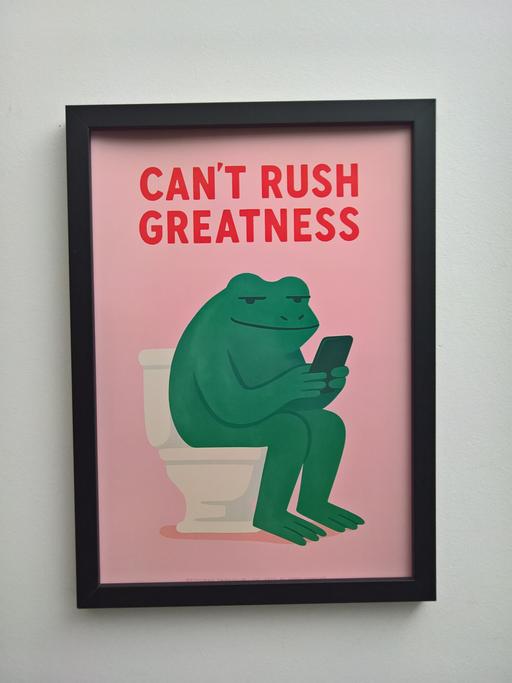 Buy & Sell Fareham Common Fareham - Photos for Cant rush greatness toilet wall - A4 frame