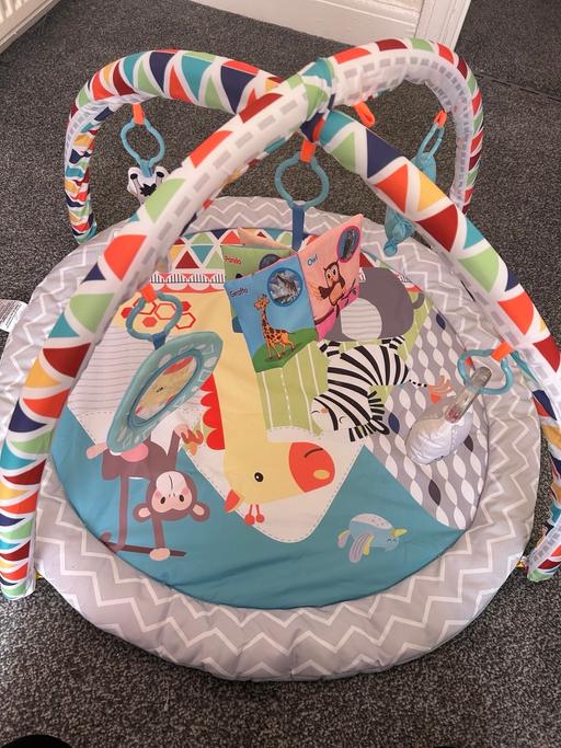 Buy & Sell Burngreave Sheffield - Photos for Animal Play Mat