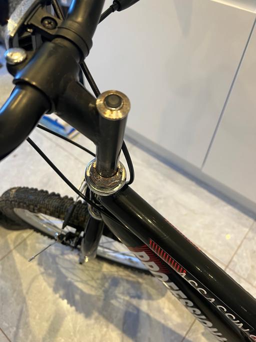 Buy & Sell Laindon Basildon - Photos for Assassin professional mountain bike 18” wheel