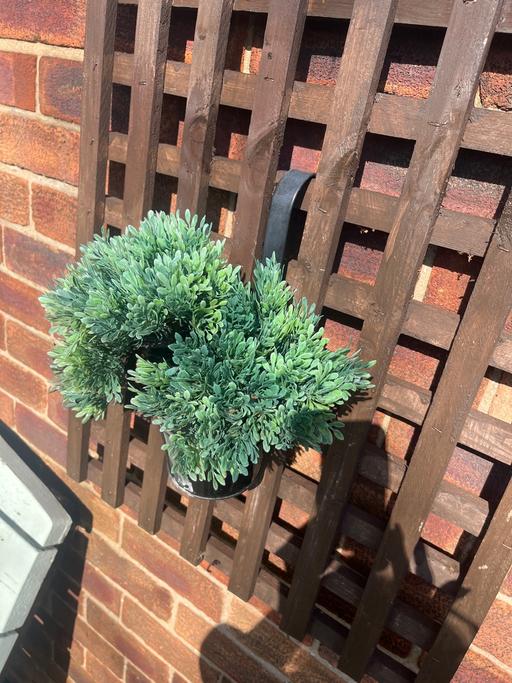 Buy & Sell Cadeby Doncaster - Photos for Hanging black pot with artificial bamboo tree