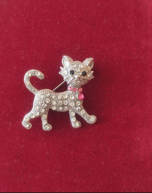Buy & Sell Grafton Street Industrial Estate West Northamptonshire - Photos for Small cat brooch
