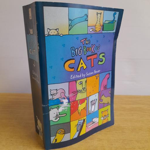 Buy & Sell Preston South Ribble - Photos for 🐈‍⬛ BOOK 🐈‍⬛