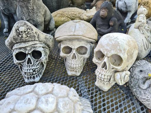 Buy & Sell Moseley Birmingham - Photos for Skulls in concrete