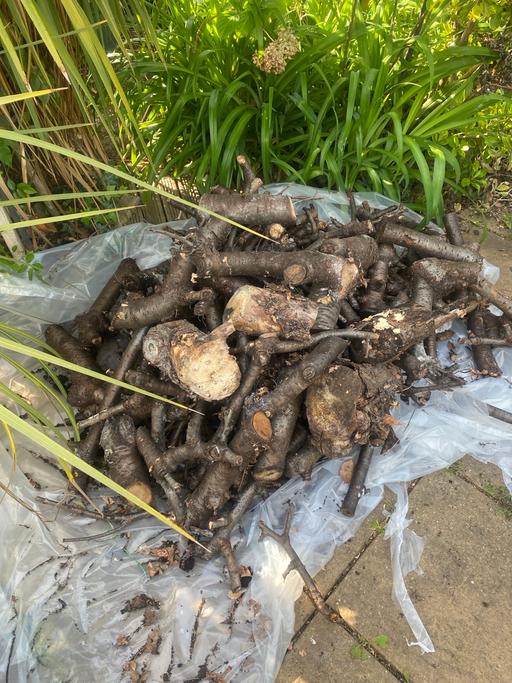 Buy & Sell East Ham East London - Photos for Fire wood for sale