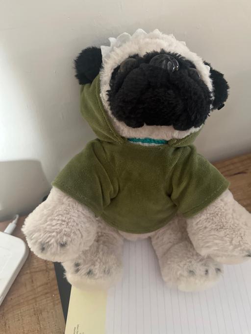 Buy & Sell Conisbrough Doncaster - Photos for Pug teddy