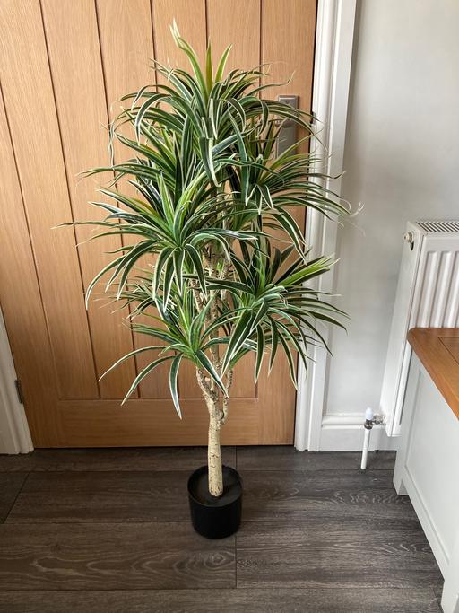 Buy & Sell Sedgley Dudley - Photos for Artificial plant