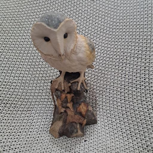 Buy & Sell Sutton Coldfield Birmingham - Photos for Owl Decor