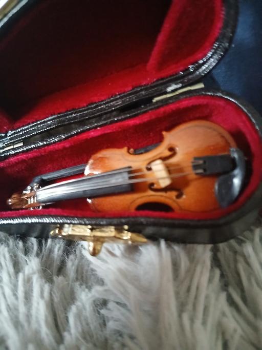 Buy & Sell Hurst Business Park Dudley - Photos for novelty violin in case