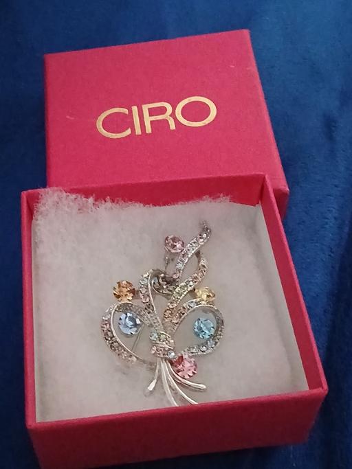 Buy & Sell Netherton Dudley - Photos for really sparkly broach