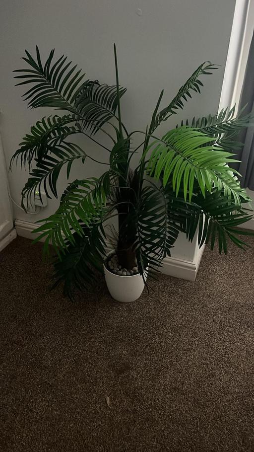 Buy & Sell Tyldesley Wigan - Photos for Indoor fake plant
