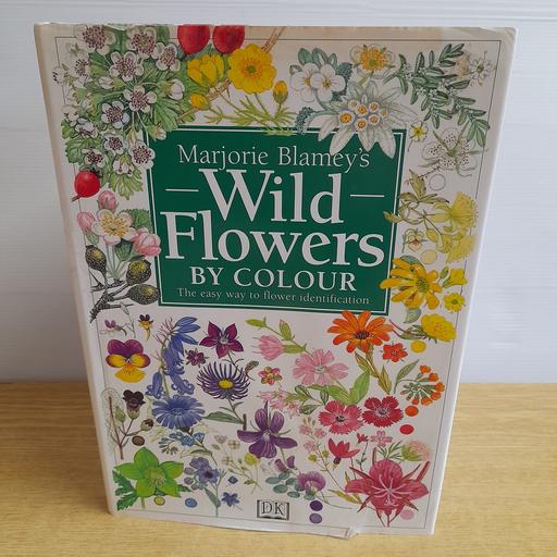 Buy & Sell Bamber Bridge South Ribble - Photos for WILD FLOWERS