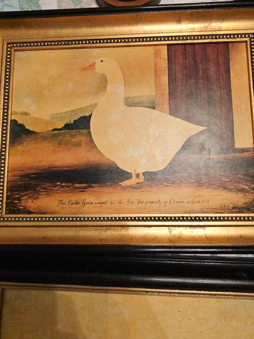 Buy & Sell Tividale Sandwell - Photos for M.R. WISCOMBE