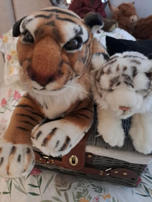 Buy & Sell Park Hill Sheffield - Photos for 2x cubs new