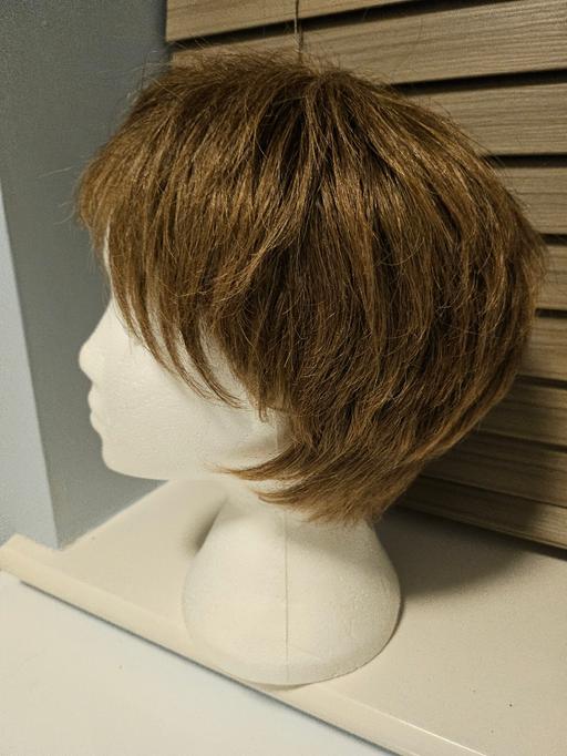 Buy & Sell Bradmore Wolverhampton - Photos for Ladies wig