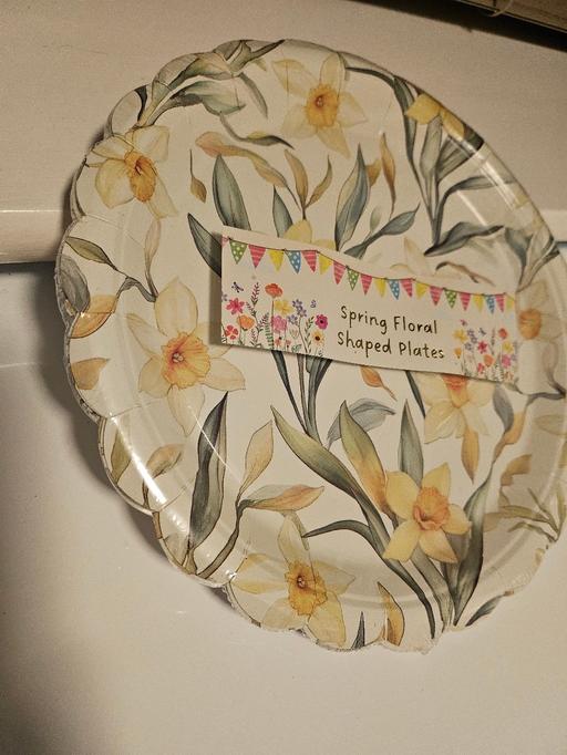 Buy & Sell Blakenhall Wolverhampton - Photos for Pk 8 Springtime paper plates 🌼