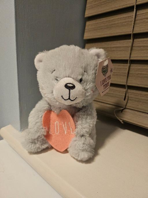 Buy & Sell Blakenhall Wolverhampton - Photos for New ❤️ teddy 🧸