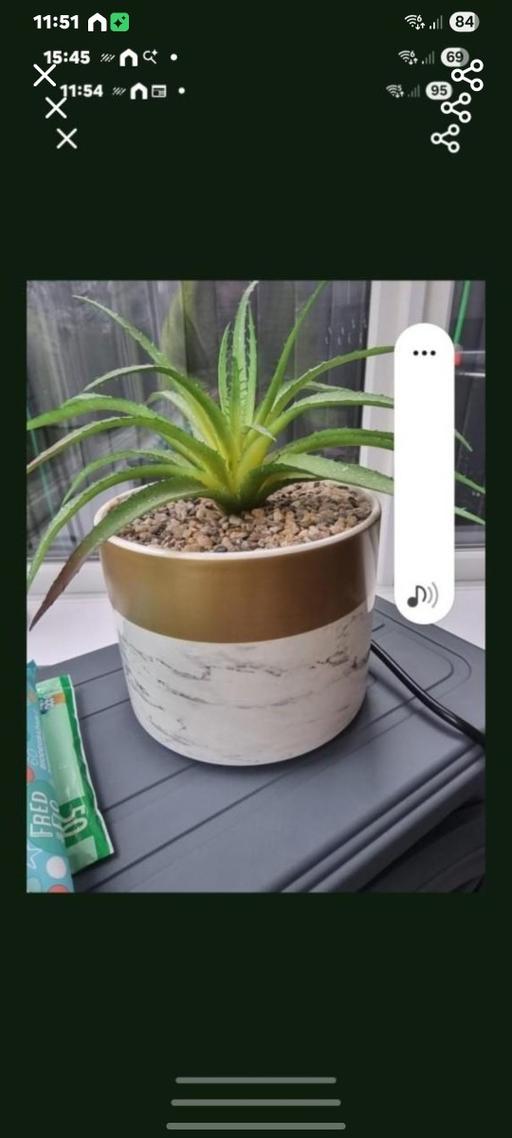 Buy & Sell Rowley Regis Sandwell - Photos for artifial plant 