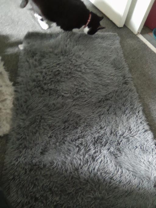 Buy & Sell Sutton Coldfield Birmingham - Photos for rug