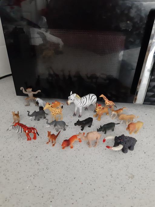 Buy & Sell South Hylton Sunderland - Photos for wild animals