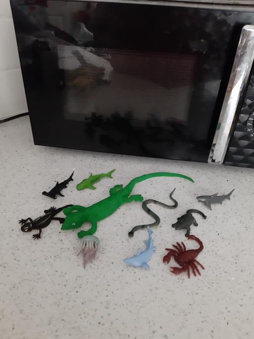 Buy & Sell South Hylton Sunderland - Photos for sea creatures