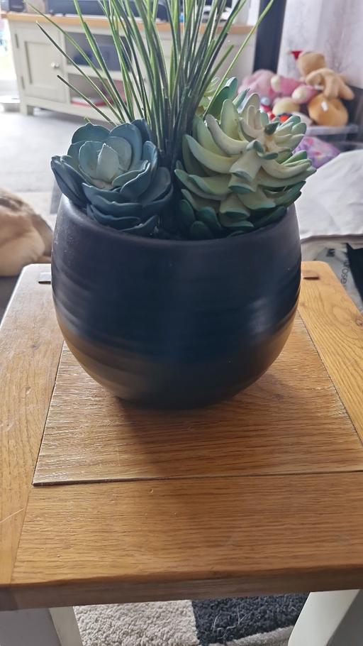 Buy & Sell Sheldon Birmingham - Photos for artificial plant