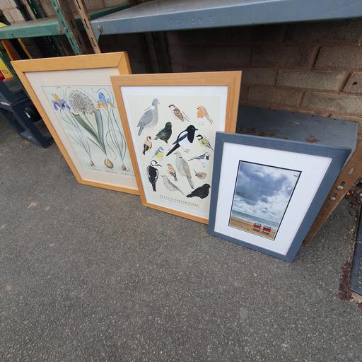 Buy & Sell Pensnett Dudley - Photos for 3 Framed Pictures - Flowers, Birds & Beach .