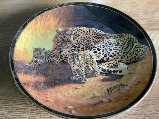 Buy & Sell Harborne Birmingham - Photos for Leopard