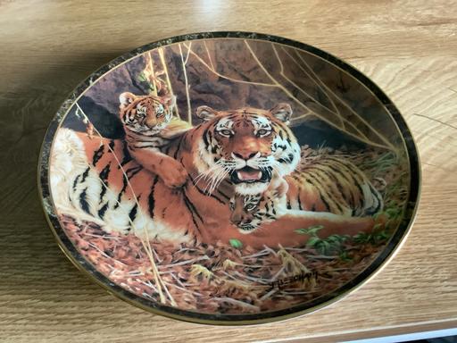 Buy & Sell Harborne Birmingham - Photos for Tiger