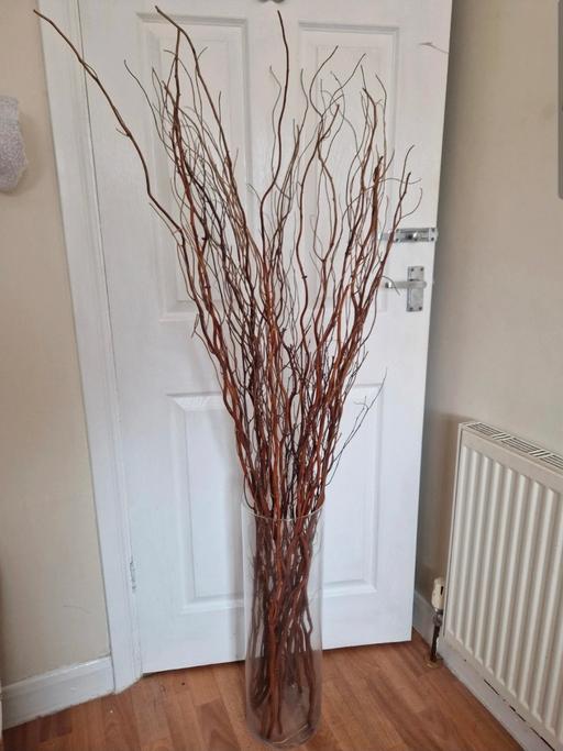 Buy & Sell Hall Green Birmingham - Photos for clear floor standing vase & decorative twigs