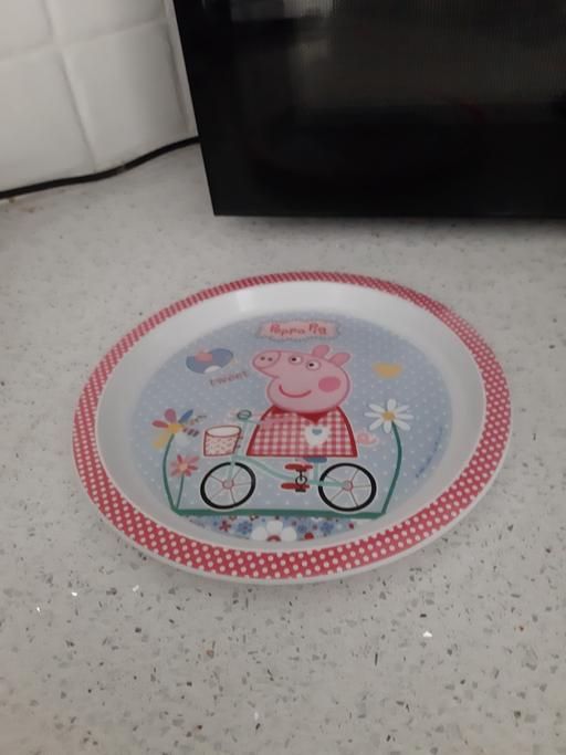 Buy & Sell South Hylton Sunderland - Photos for plate