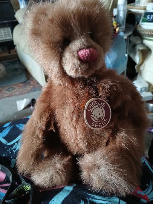 Buy & Sell Holly Hall Dudley - Photos for charlie bear soft fur