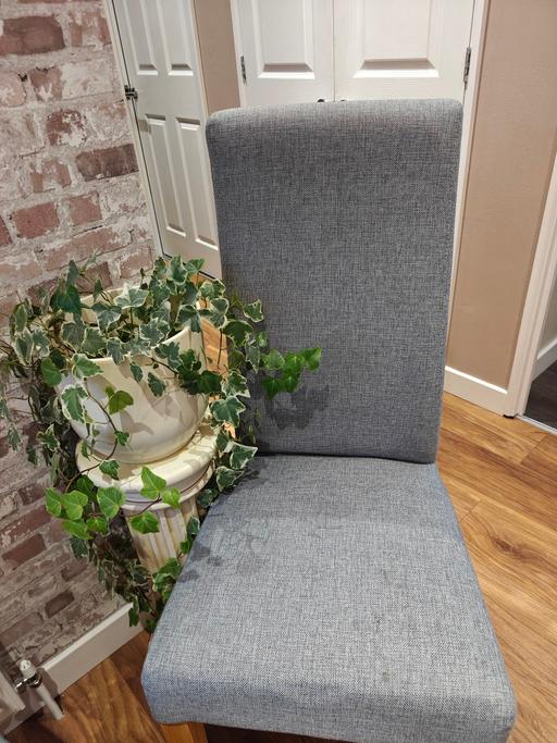 Buy & Sell Trumpington Cambridge - Photos for Dining Room Chairs