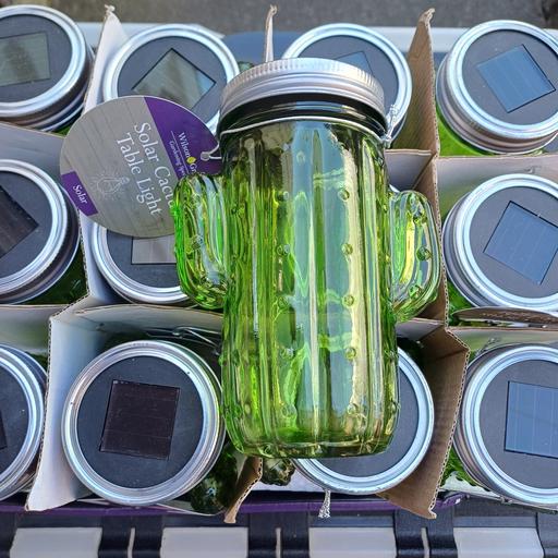 Buy & Sell Tividale Sandwell - Photos for cactus solar lights. new